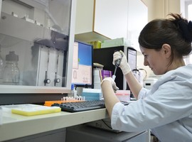 Ученые разработали программу, которая высчитывает свойства молекул